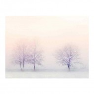 Δέντρα στην ομίχλη
