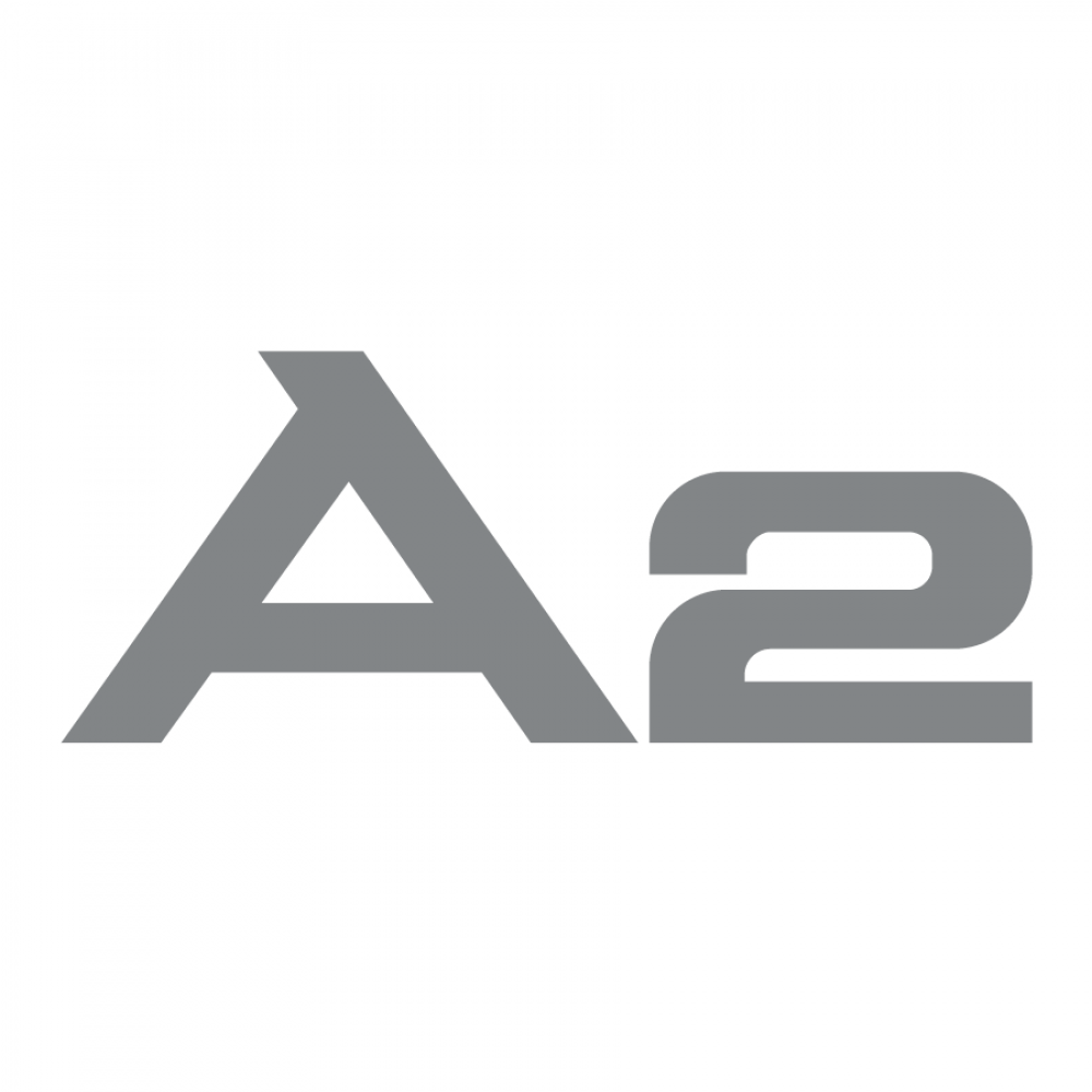 Audi A2 logo